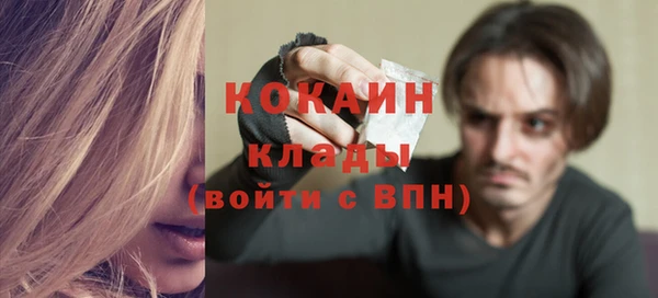 эйфоретик Арсеньев