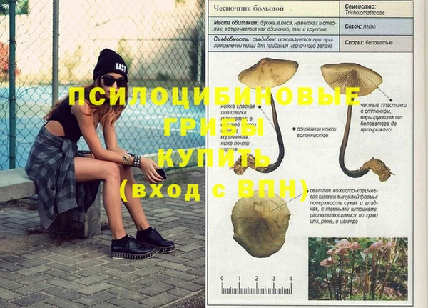 гидропоника Аркадак