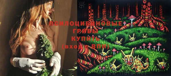 гидропоника Аркадак