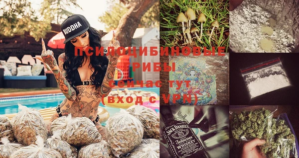 эйфоретик Арсеньев