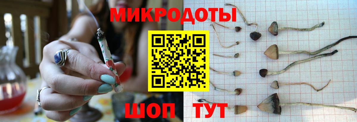 Галлюциногенные грибы мицелий  Галлюциногенные грибы Psilocybine cubensis  Вход с VPN  Рубцовск 